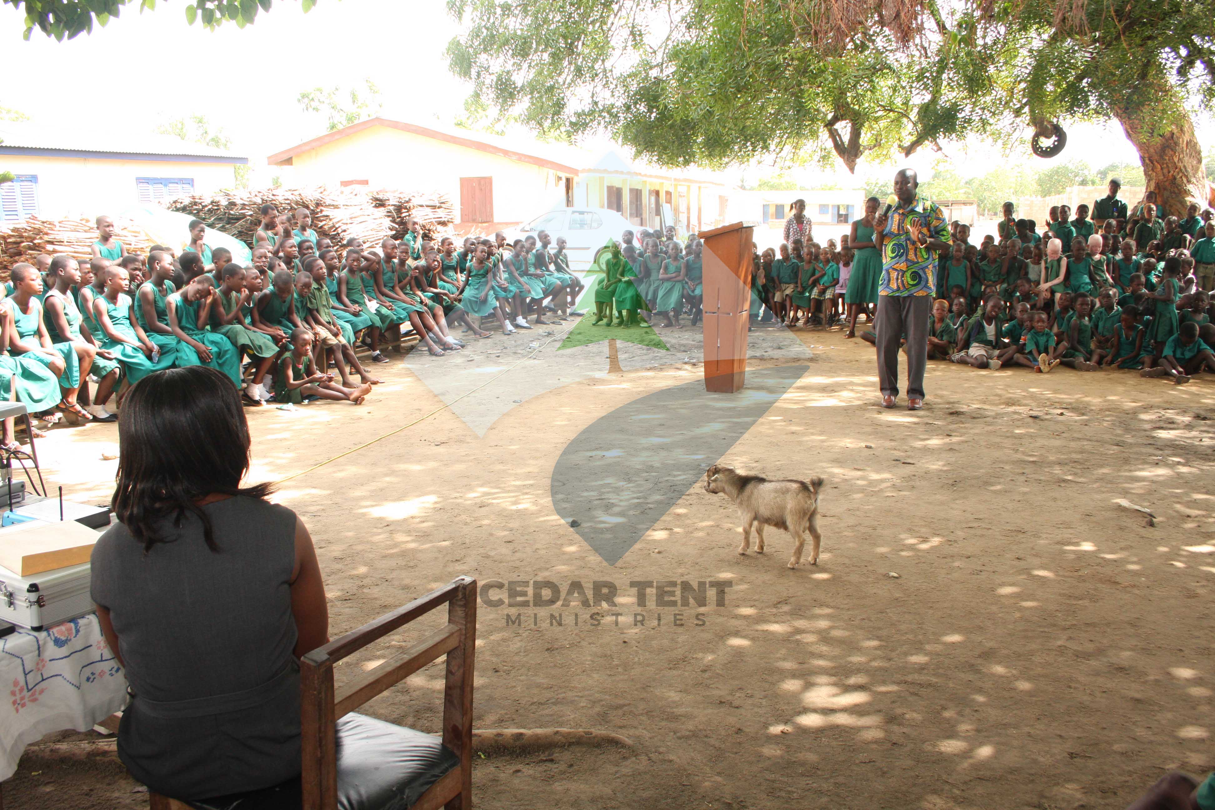 Photo 14